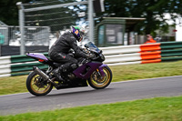 Lower Group Multicolour Bikes